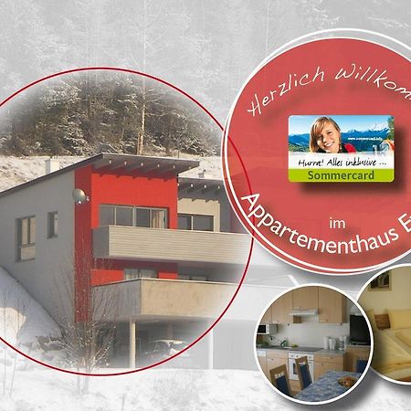 Appartementhaus Evelyn Schladming Exteriér fotografie
